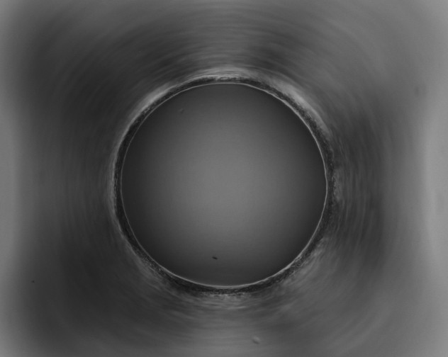 X0000093251229200710101434