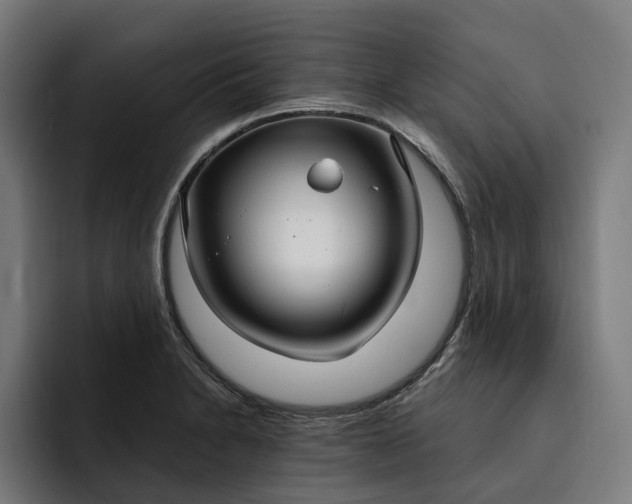 X0000093251230200710101434