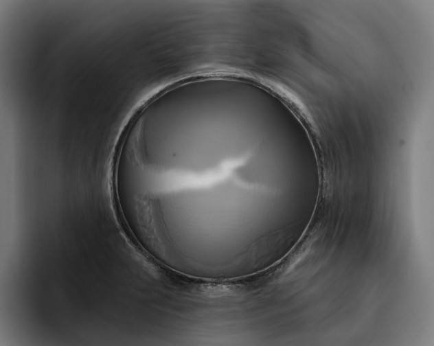 X0000093251231200710101434