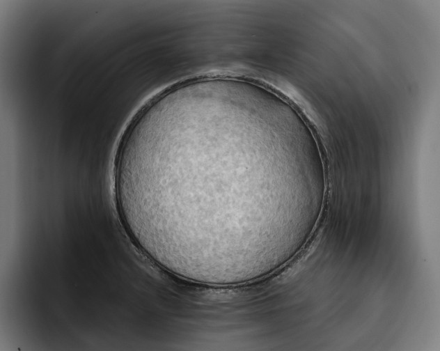 X0000093251232200710101434