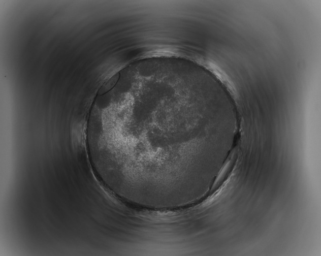 X0000093251233200710101434