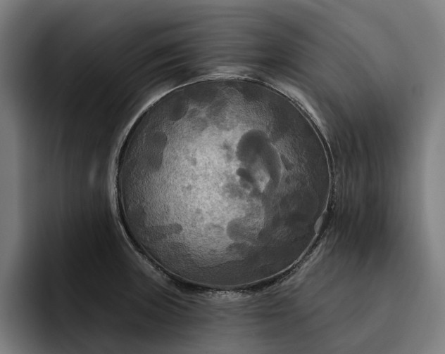 X0000093251235200710101434