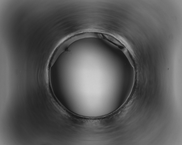 X0000093251238200710101434