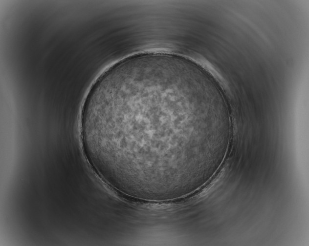 X0000093251240200710101434