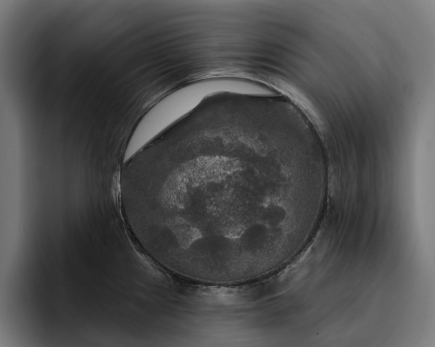 X0000093251241200710101434