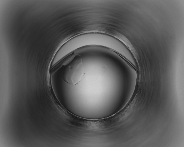 X0000093251242200710101434