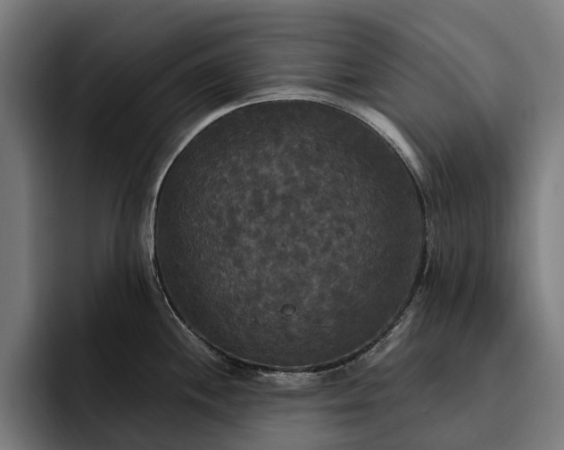 X0000093251244200710101434