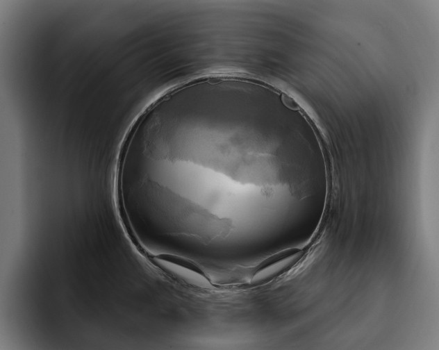 X0000093251245200710101435