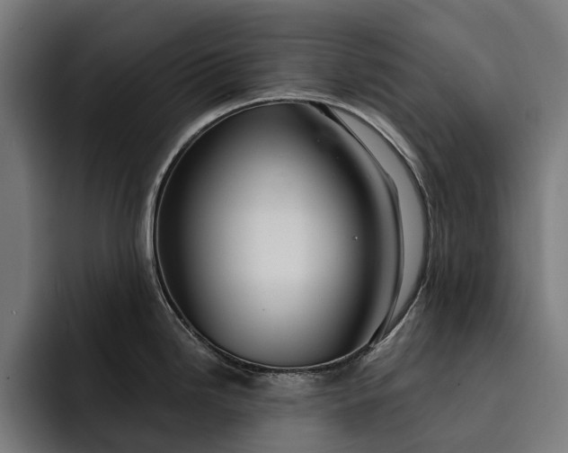 X0000093251246200710101435