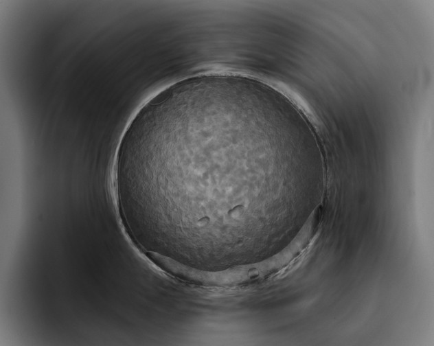 X0000093251247200710101435