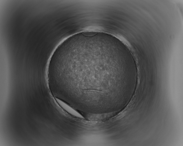 X0000093251248200710101435