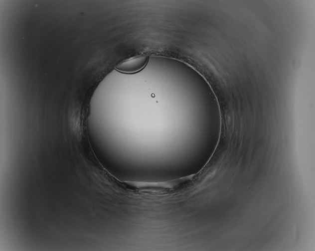 X0000093251250200710101434