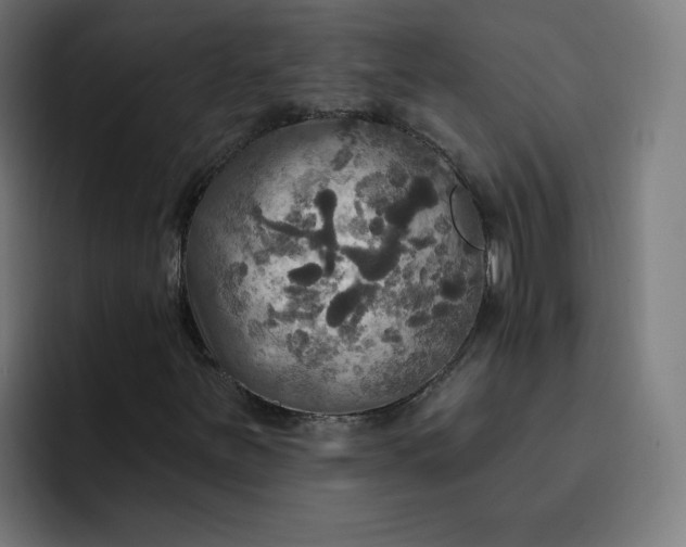 X0000093251251200710101434