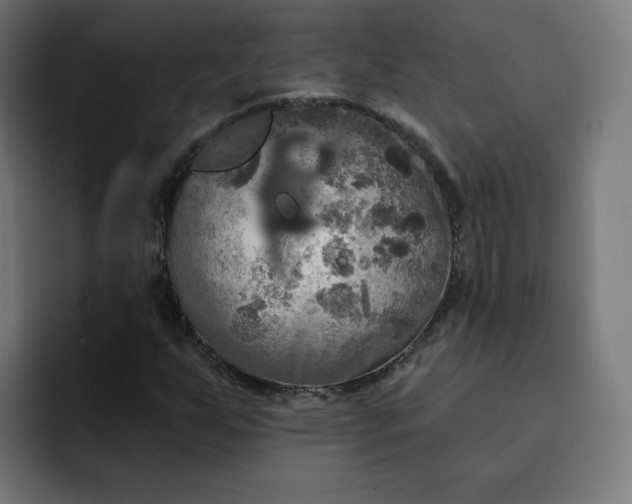 X0000093251255200710101434