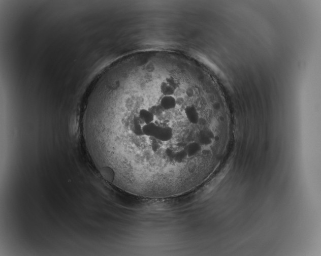 X0000093251259200710101434