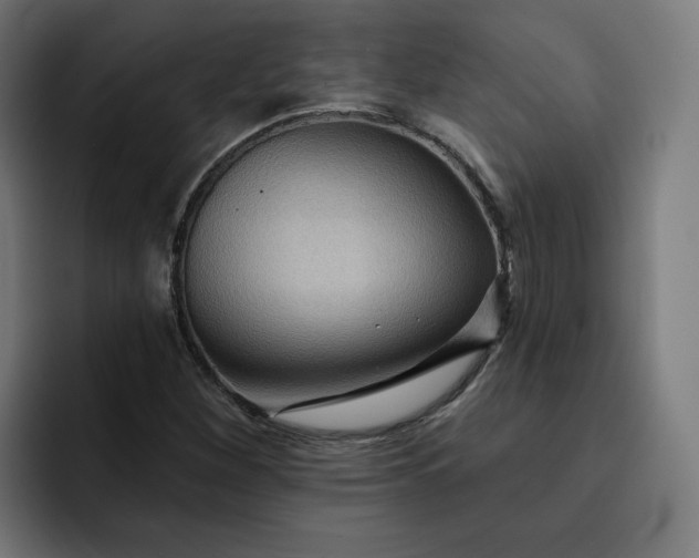 X0000093251260200710101434