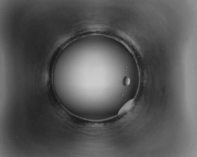 X0000093251261200710101434