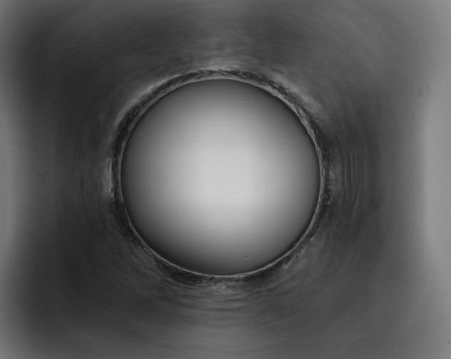 X0000093251262200710101434