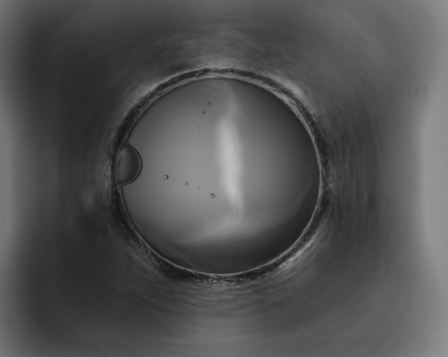 X0000093251263200710101434