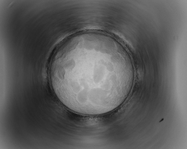 X0000093251266200710101434