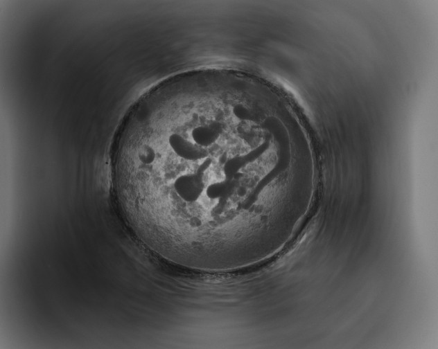 X0000093251267200710101434