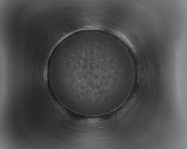 X0000093251268200710101434