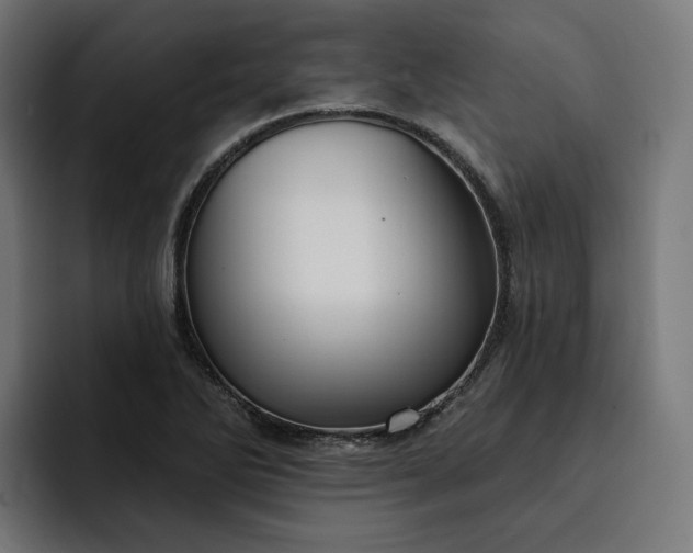 X0000093251270200710101434