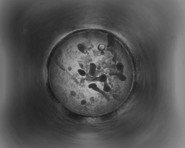 X0000093251271200710101434