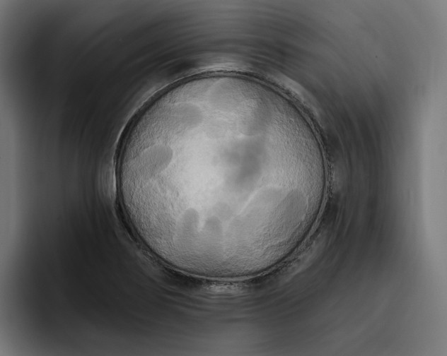 X0000093251274200710101434