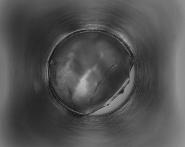 X0000093251275200710101434