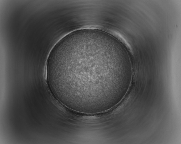 X0000093251276200710101434