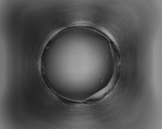 X0000093251277200710101434