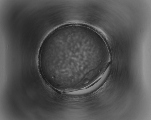 X0000093251279200710101434