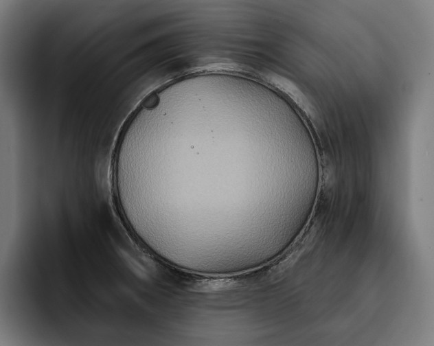 X0000093251282200710101434