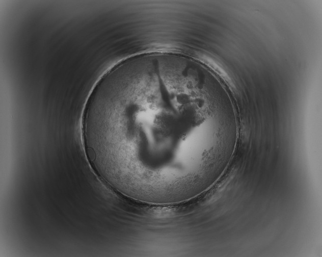 X0000093251283200710101434