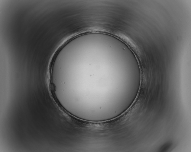 X0000093251286200710101434