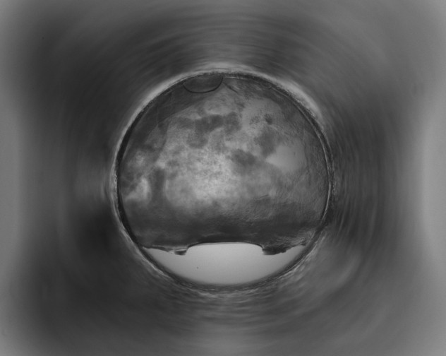 X0000093251287200710101434