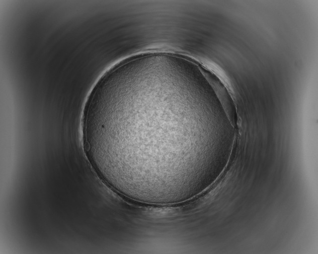 X0000093251288200710101434