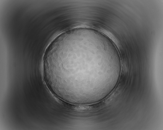 X0000093251290200710101433