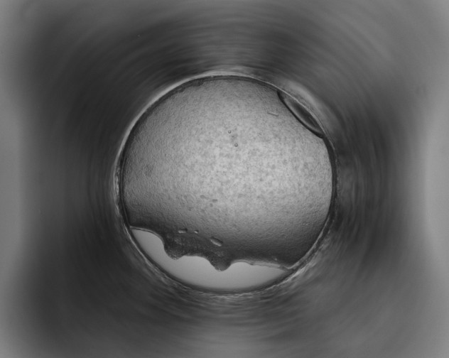 X0000093251292200710101433