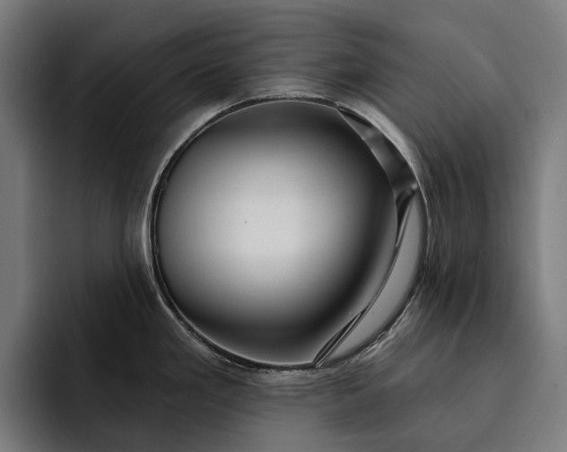 X0000093251293200710101433