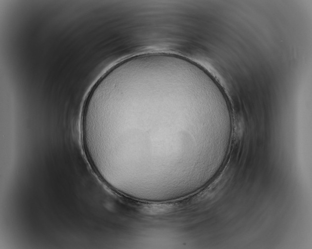 X0000093251294200710101433