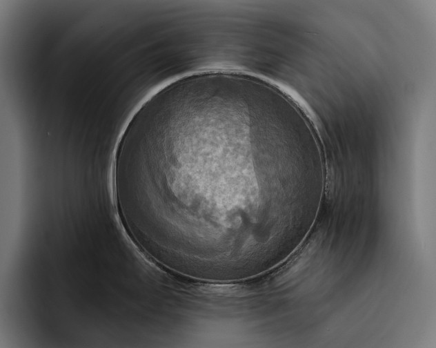 X0000093251295200710101433