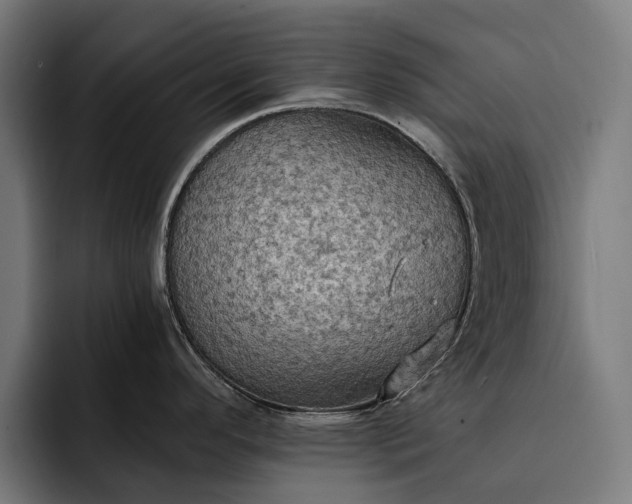 X0000093251296200710101433