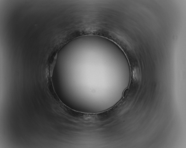 X0000093251299200710101433