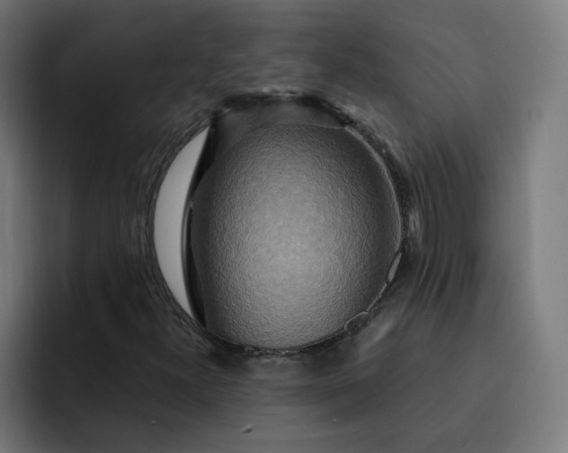 X0000093251300200710101433