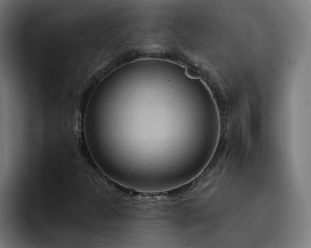 X0000093251301200710101433