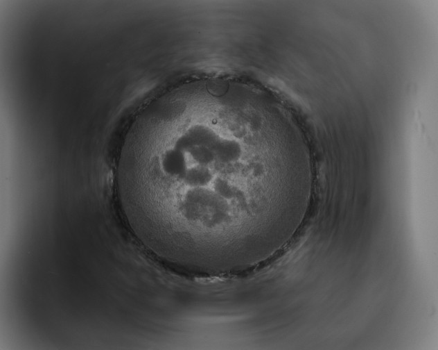 X0000093251302200710101433