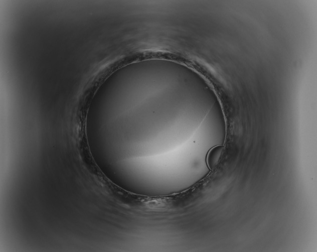 X0000093251303200710101433