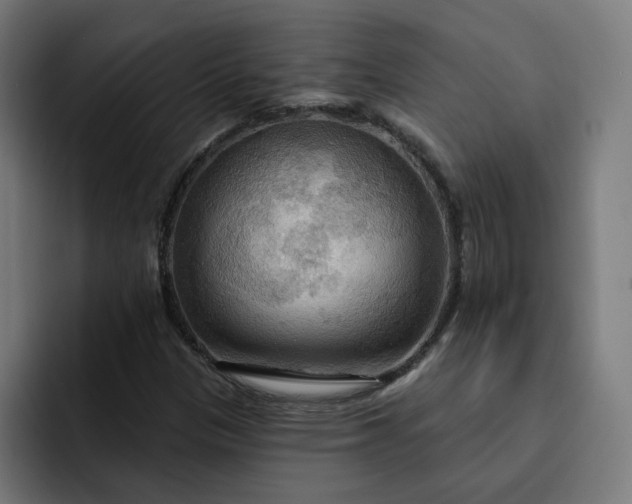 X0000093251305200710101433